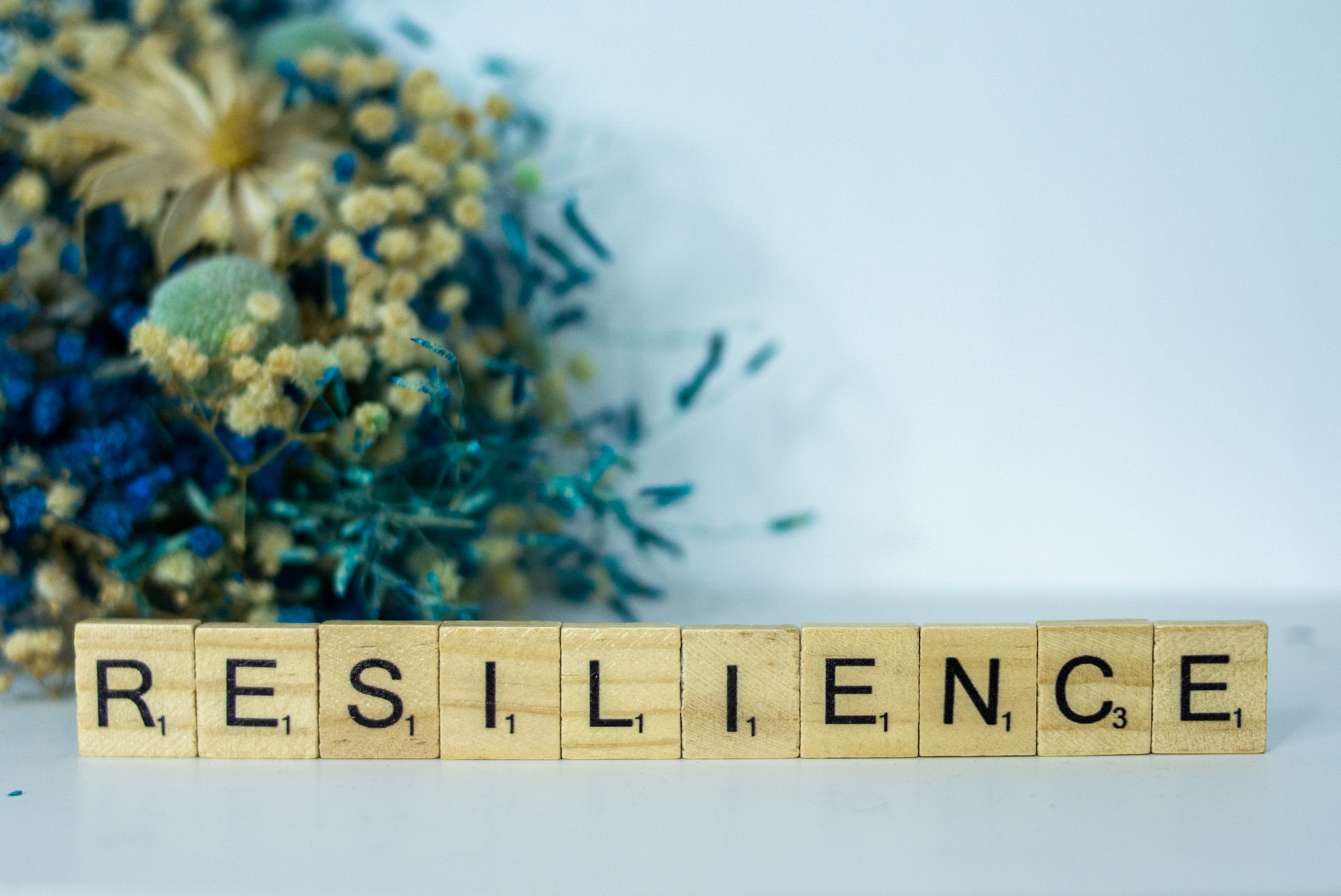 Word of the Year 2023- “Resilience”